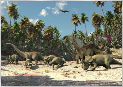Fototapeta tapeta z Dinozaurami w Dinozaury L !! - 5481445476 - oficjalne  archiwum Allegro