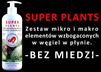 HIT! SUPER PLANTS 500 ml: MAKRO + MIKRO + WĘGIEL