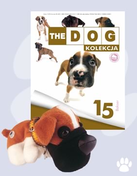 Kolekcja The Dog 15 Bokser 6908395037 Oficjalne Archiwum Allegro