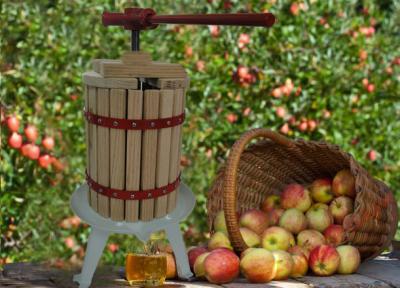 Prasa wyciskarka do owoców soków wina 12 litrów