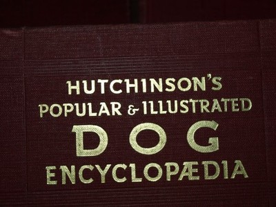Dog Encyclopaedia, 3t , ilustrow. 1934r WYS GRATIS