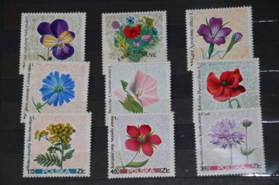 Kwiaty polne 1967 rok BARDZO ŁADNE!!!