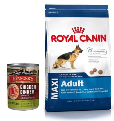 Royal Canin Maxi Adult 15kg + KARMA MOKRA GRATIS!