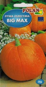 Dynia Big Max nasiona 3g POLAN owoc do 50kg!