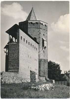 Rawa Mazowiecka Baszta i ruiny zamku