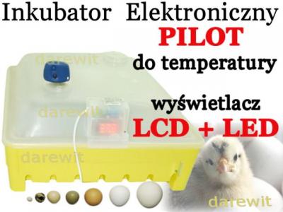 Inkubator jaj wylęgarka z regulacją temp. + gratis