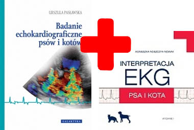 Badanie echokardiograficzne psów Interpretacja EKG