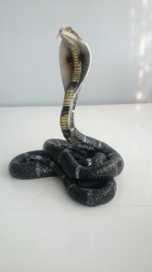 Kobra królewska, figura jak żywa ok 24 cm.