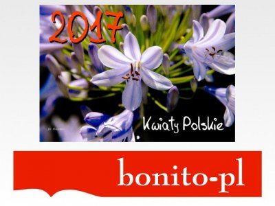 Kalendarz wiszący Kwiaty polskie 2017 Poziomy