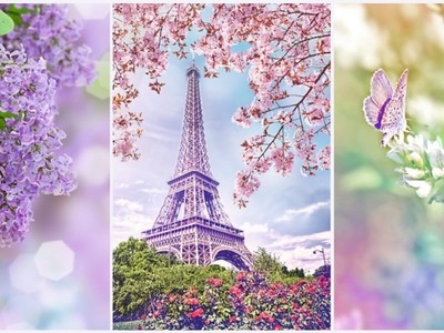 Wiosna w Paryżu. Puzzle, 1000 elementów