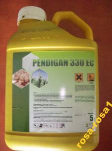 PENDIGAN 330 EC 5l na chwasty w kukurydzy