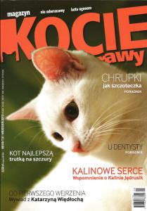 KOCIE SPRAWY -  nr 10/ 2013