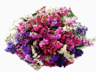 ZATRWIAN suszone kwiatki DUŻY BUKIET MIX - 6921540603 - oficjalne archiwum  Allegro