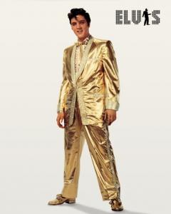 Elvis - Złoty Garnitur - plakat 40x50 cm - 2842239812 - oficjalne archiwum  Allegro