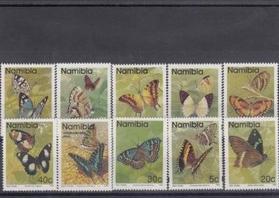 motyle - Namibia