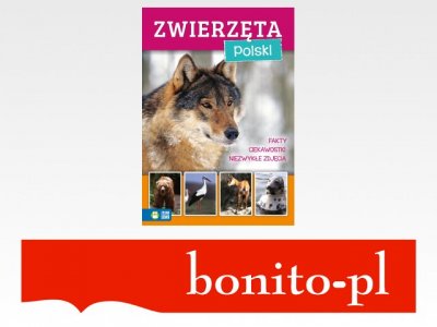 Zwierzęta Polski. Niezwykły świat - praca zbiorowa