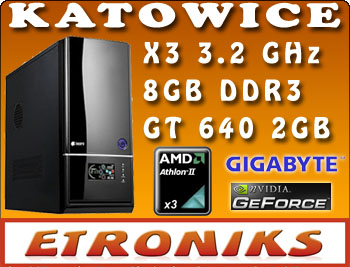 X3_ ATHLON II 450 3.2GHz / 8GB / GT640 2GB / 500GB