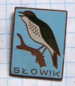 Odznak Przyroda - Ptaki - Słowik