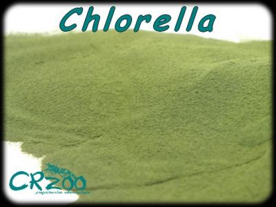 Chlorella w proszku 5g