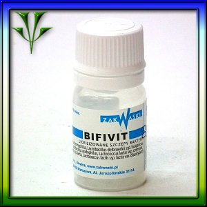 Bakterie do jogurtu Bifivit 0,5g Vivo