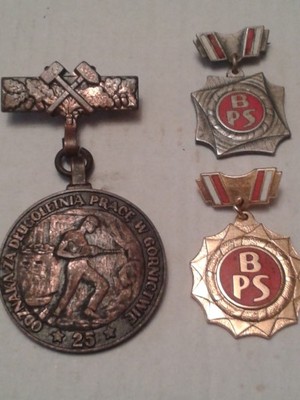 odznaki BPS i za długoletnią pracę