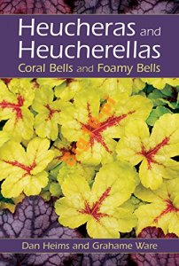 Dan Heims Heucheras and Heucherellas Coral Bells a