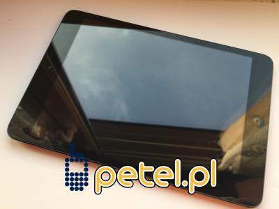 Apple iPad mini 4G A1455 16GB Wi-Fi Cellular PETEL