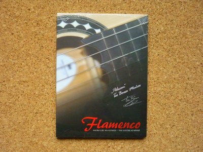 Flamenco - Nauka Gry Na Gitarze / odc. 1-9 (folia)