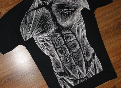 Koszulka Kulturystyka Anatomia Mięsni Strongman L - 6990772570 - oficjalne  archiwum Allegro
