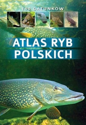 Atlas ryb polskich 140 gatunków - Bogdan Wziątek