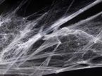 Pajęczyna w sprayu 250ml biała Halloween sieć