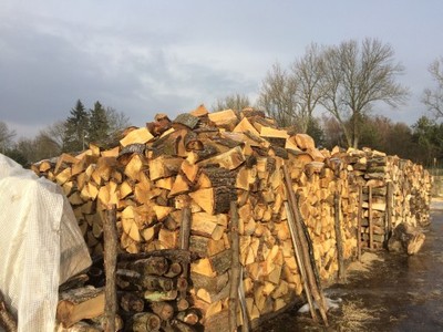 Drewno Kominkowe Gorzów, Kłodawa, Okolice