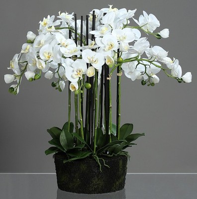 STORCZYK storczyki białe z liściem kwiaty sztuczne - 6780267719 - oficjalne  archiwum Allegro