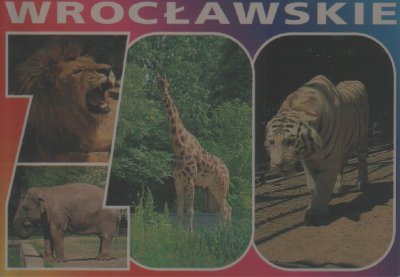 Wrocław - Zoo