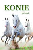 Konie - Jon Stroud