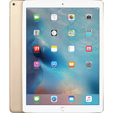 APPLE iPad PRO Wi-Fi CELL 256GB ML3Z2FD Pń Długa14