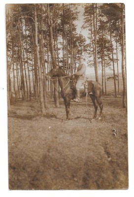 zdjęcie Żołnierz na koniu Ułan 1915 Austro-Węgry