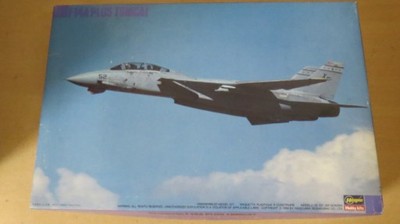 Hasegawa F-14A Plus