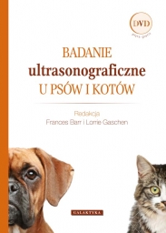 Badanie ultrasonograficzne u psów i kotów NOWOŚĆ
