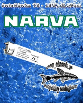 Świetlówka NARVA Daylight T8 18W 865 6500K