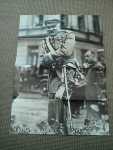 Plakaty Piłsudski, Dmowski, WARA!