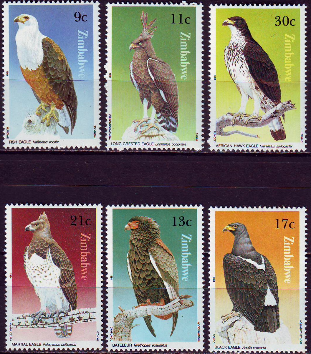 Zimbabwe 297-302**, 1984 e., Ptaki, 9E!