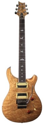 PRS 2017 SE Custom 24 Floyd Swamp Ash - gitara ele