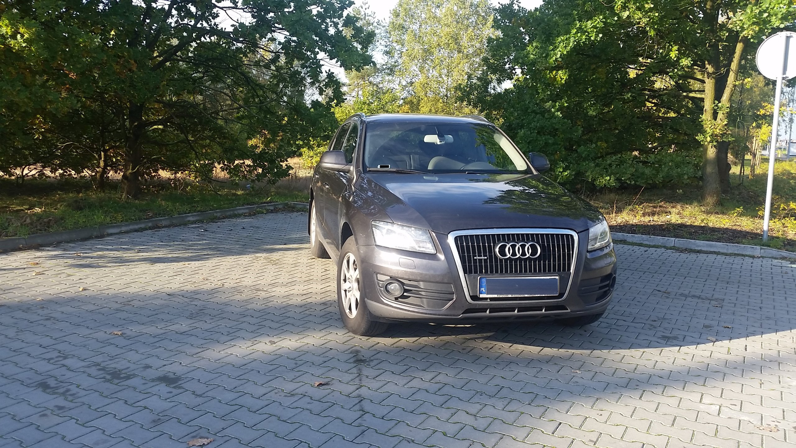 Audi Q5 guattro 3,0 Tdi (8R)