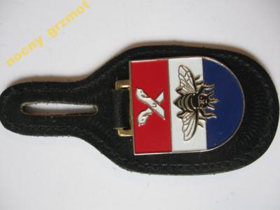 Odznaka Francuskich Sił na guzik
