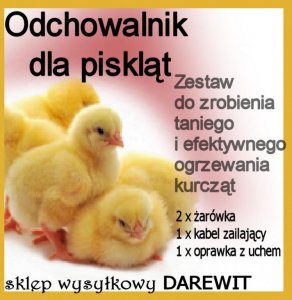 Domowy ODCHOWANIK dla kurczaków  ZESTAW TANIO