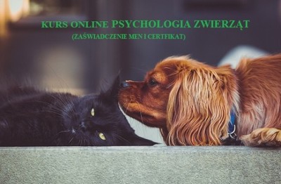 Psychologia zwierząt kurs