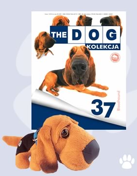 Kolekcja The Dog 37 Bloodhound 6908400880 Oficjalne Archiwum Allegro