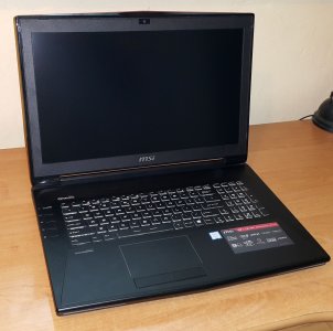 Laptop MSI GT72S 6QE-071PL Dominator Pro G