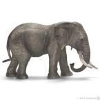 Schleich - Słoń afrykański, samica